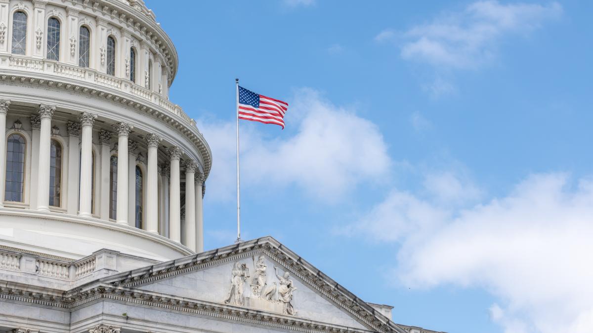 Capitol and Flag