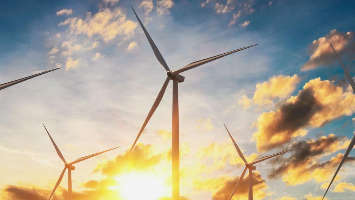 Solar panels and wind turbines