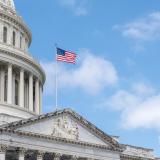 Capitol and Flag