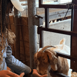 SB with animal