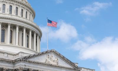 Capitol and Flag