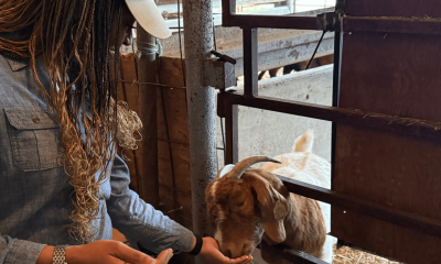 SB with animal